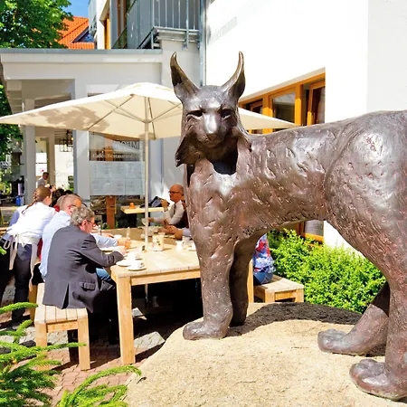 Hotel Plumbohms Echt-harz-hotel Bad Harzburg