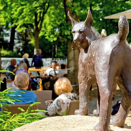 Plumbohms Echt-harz-hotel