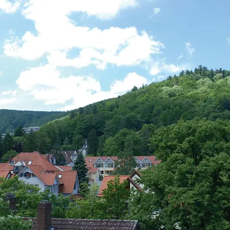 Plumbohms Echt-harz-hotel 호텔 4*