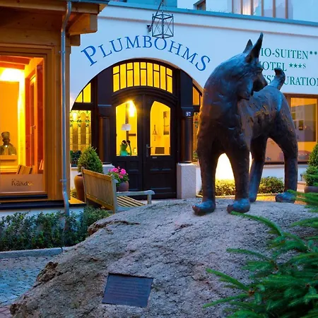Отель Plumbohms Echt-harz-hotel 4*