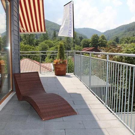 Plumbohms Echt-harz-hotel Отель Бад-Гарцбург