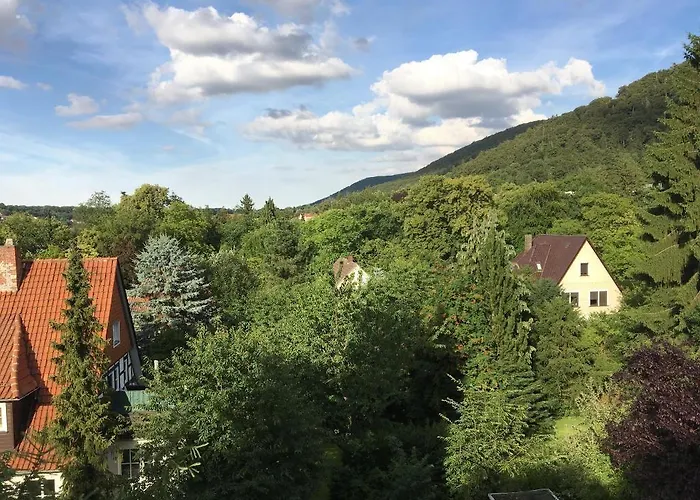 Plumbohms Echt-harz-hotel מלון