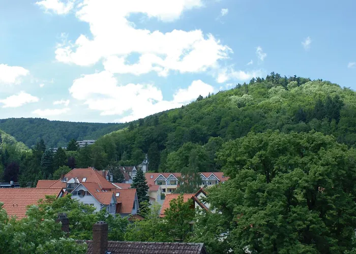 Plumbohms Echt-harz-hotel מלון 4*